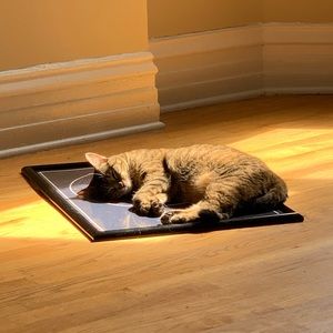 Meet your Posher, Carolyn